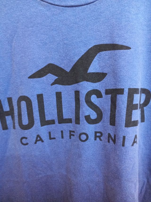 Hollister 2 Camisetas