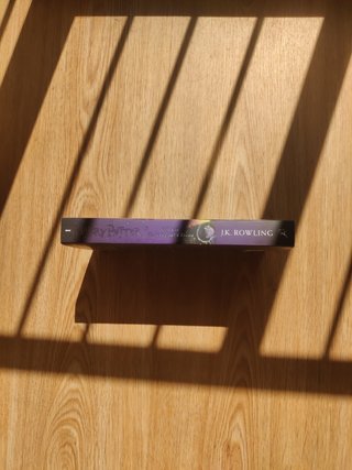 Harry Potter & the Philosopher stone 25