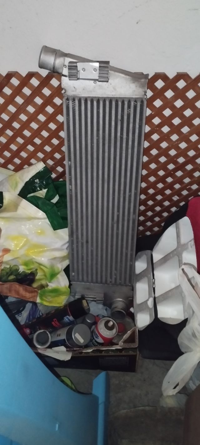 Piezas originales de Megane Sport 225cv