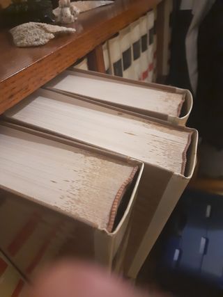 Dizionario encicl. Lingua italiana