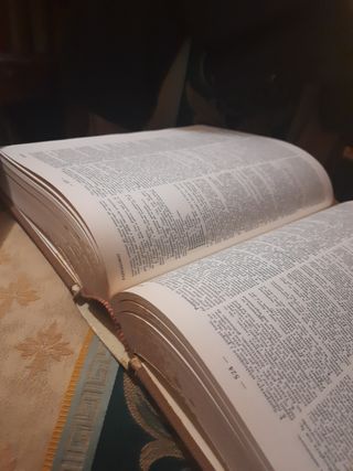 Dizionario encicl. Lingua italiana