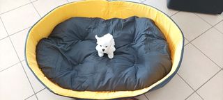 Divano letto cuccia per animali