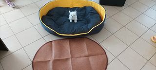 Divano letto cuccia per animali