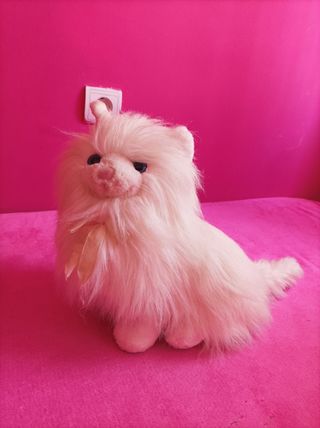 Gato de peluche