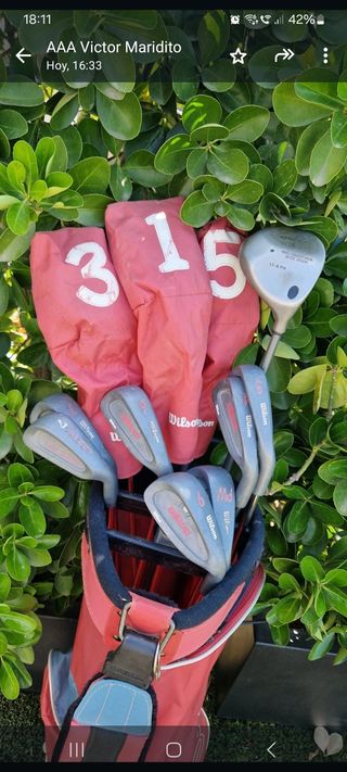 Juego Golf Wilson Adventage