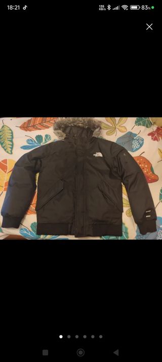 The North Face 