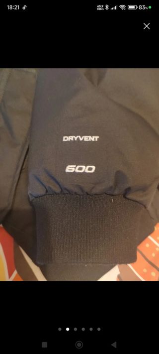 The North Face 