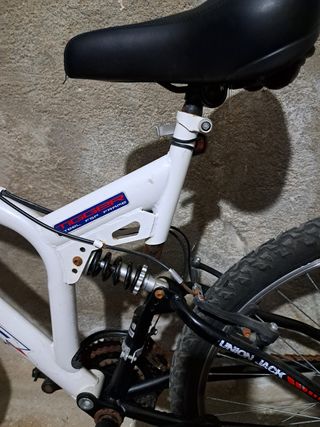 Bicicleta adulto