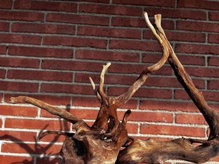 Kit acuario 90 litros