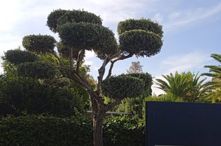 DESBROCE TERRENOS PARCELAS SOLARES FINCA