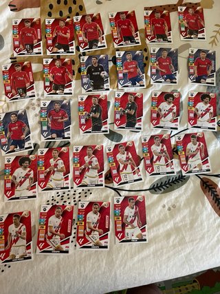 Cromos adrenalyn XL 23/24
