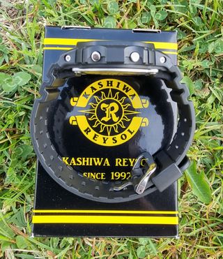 Casio G-shock DW-5600 Kashiwa Reysol