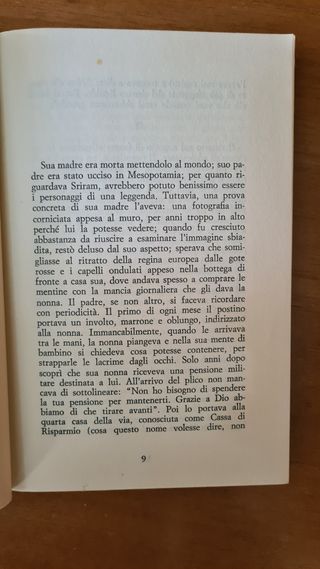 Aspettando il Mahatma Narayan