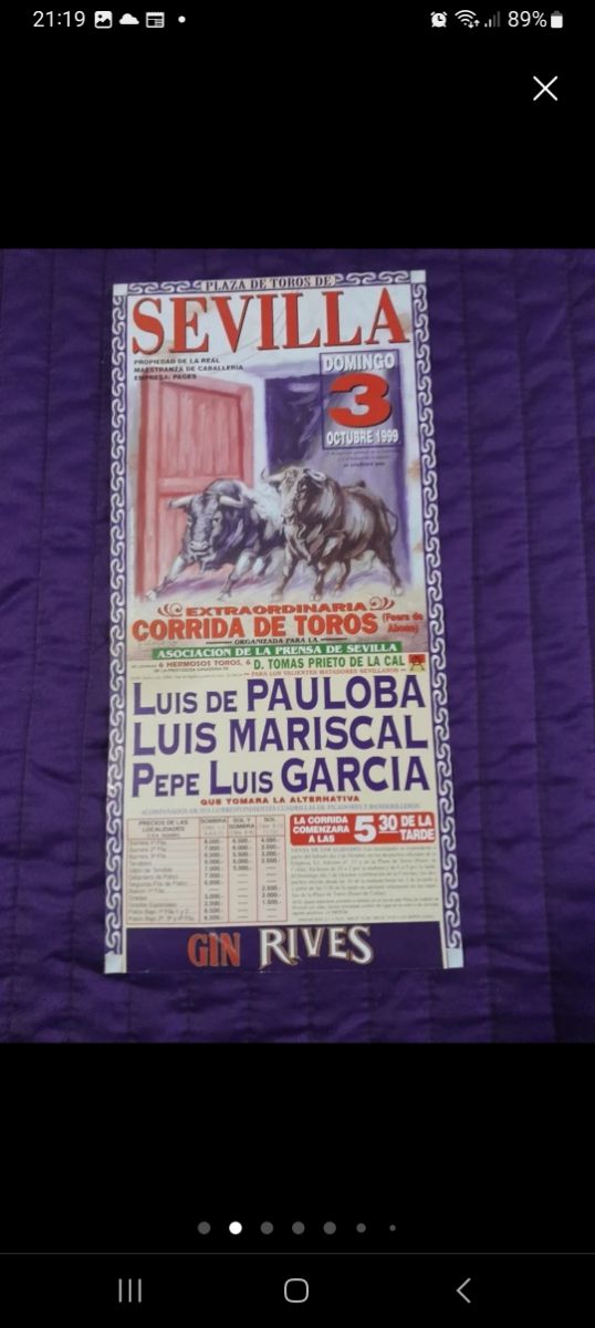 Cartel toros