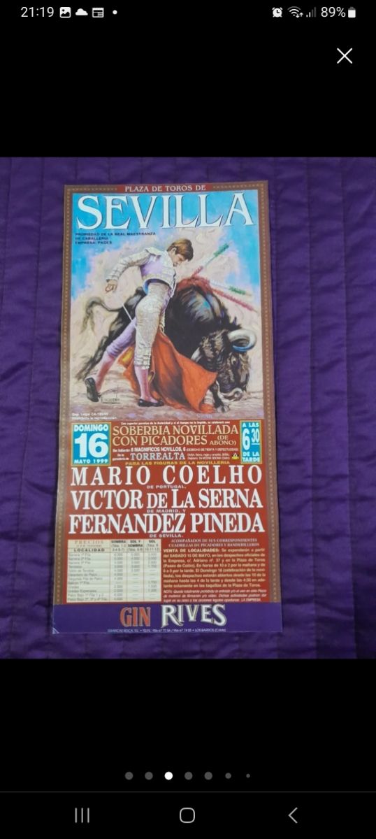 Cartel toros