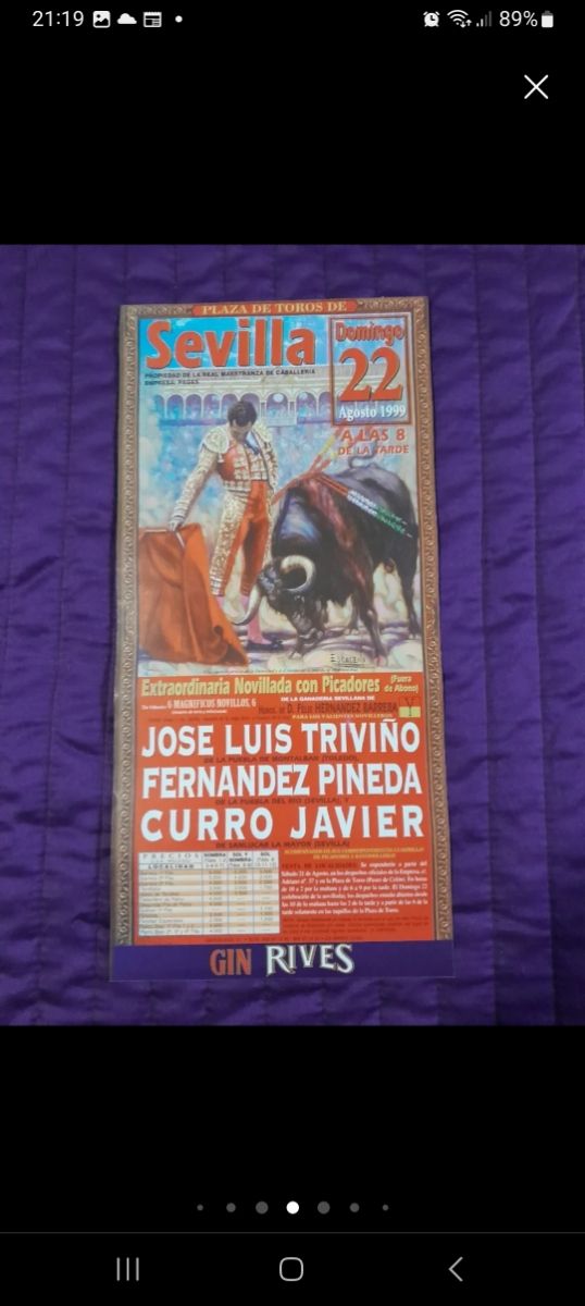 Cartel toros