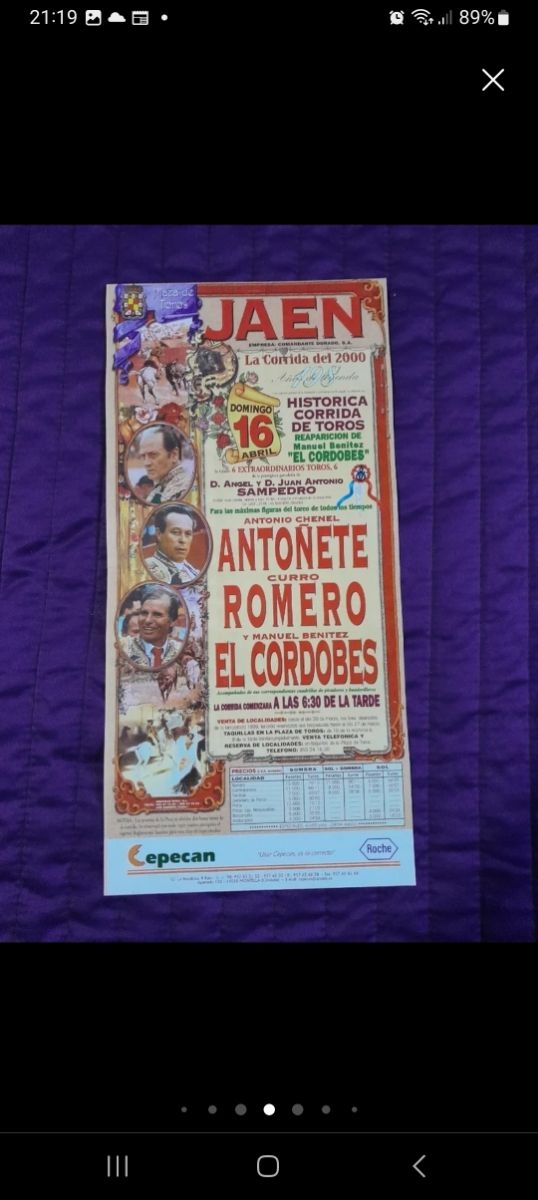 Cartel toros