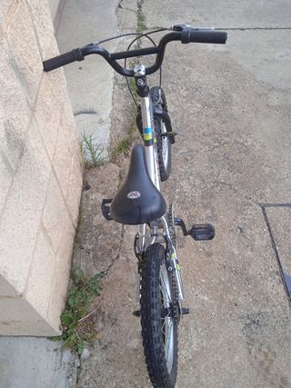Bicicleta MONTY