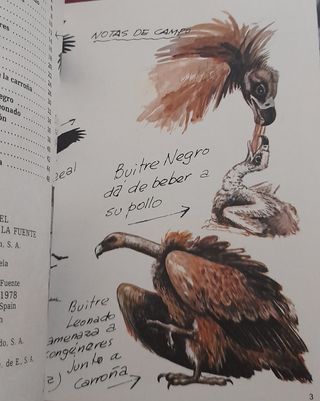 Félix Rodríguez de la Fuente