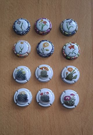 12 placas cava - flores