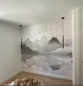 PINTOR Y ALISADOR  ECONÓMICO