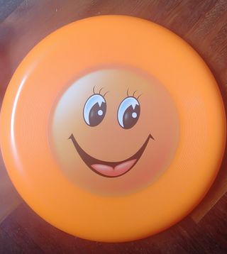 Lote juguetes de playa