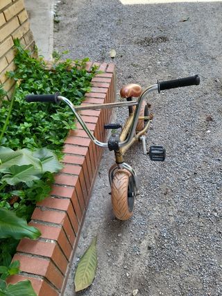 Mini BMX Bicicleta de trucos sin frenos