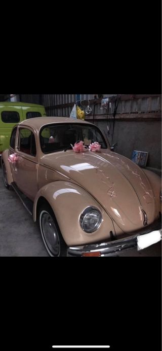 Volkswagen Beetle 1981