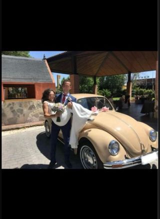 Volkswagen Beetle 1981