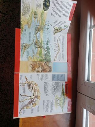 En vivo! Dinosaurios