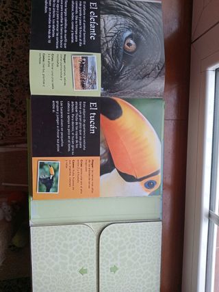 Libro desplegable Zoo Aventura