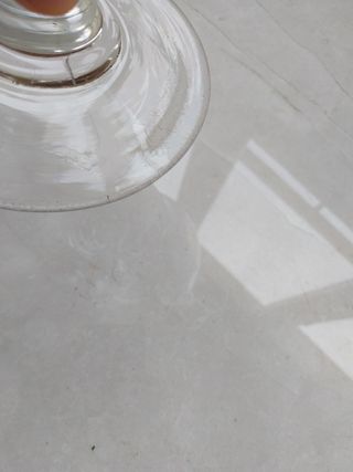 Pecera sanguijuelas farmacia siglo XIX