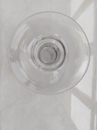 Pecera sanguijuelas farmacia siglo XIX