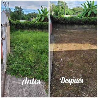 Jardinero economíco 