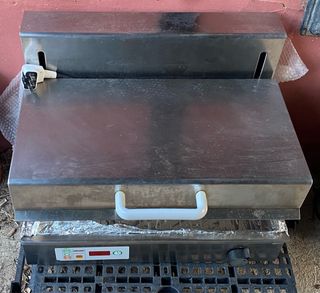 Salamandra electrica