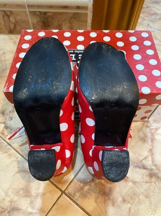 Zapatos flamenca