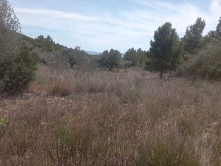 Terreno en venta