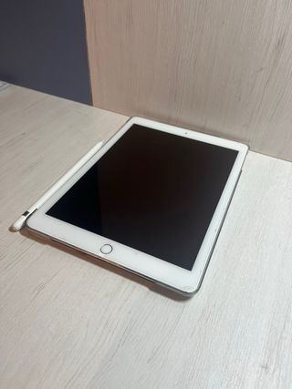 Ipad Pro 9,7 pulgadas sin apple pencil