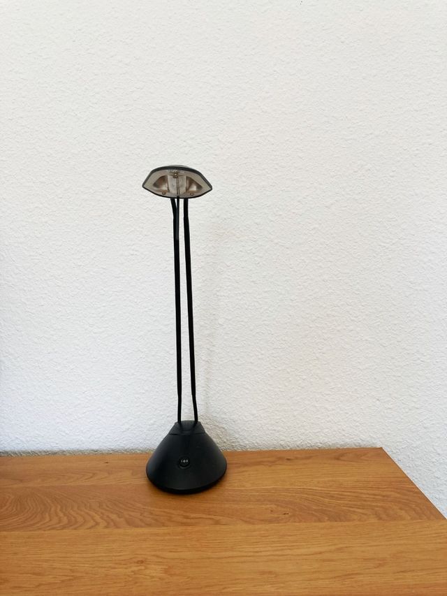 Flexo de escritorio orientable