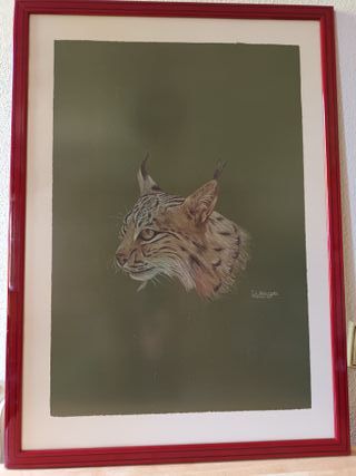 9 Cuadros Colección Completa Fauna Ibérica