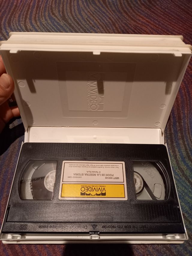 Pooh 25 la nostra storia videocassette