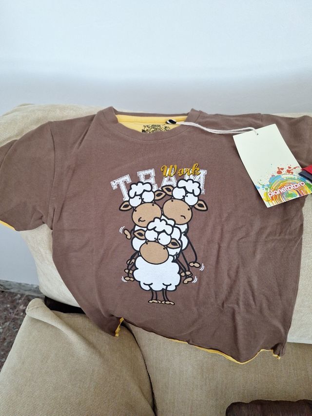 Lote 2 camisetas y sudadera talla 6