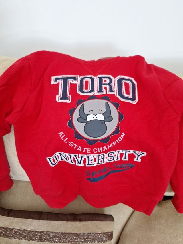 Lote 2 camisetas y sudadera talla 6