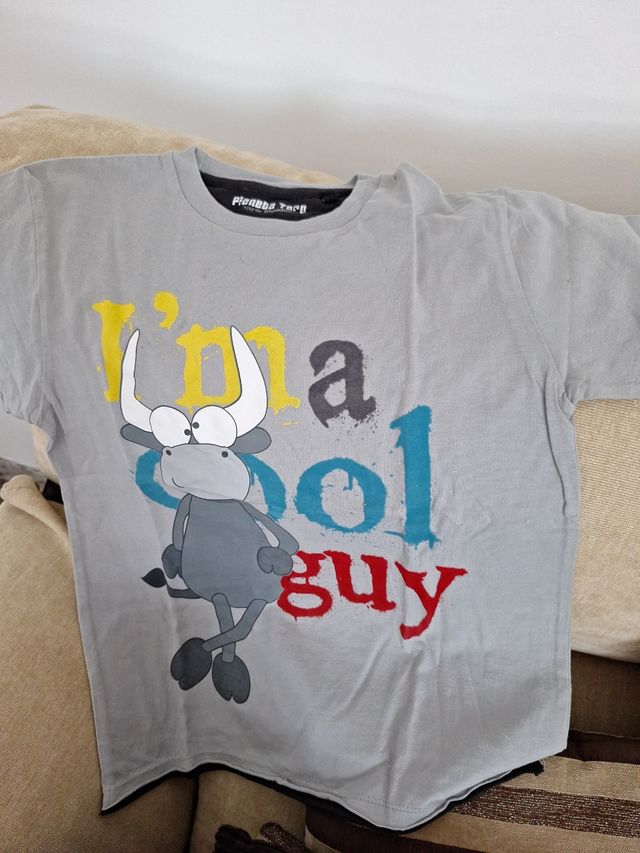 Lote 4 camisetas y 1 sudadera talla 10