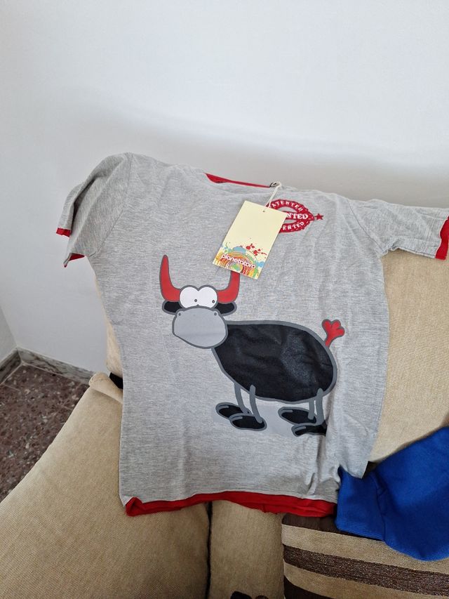 Lote 4 camisetas y 1 sudadera talla 10