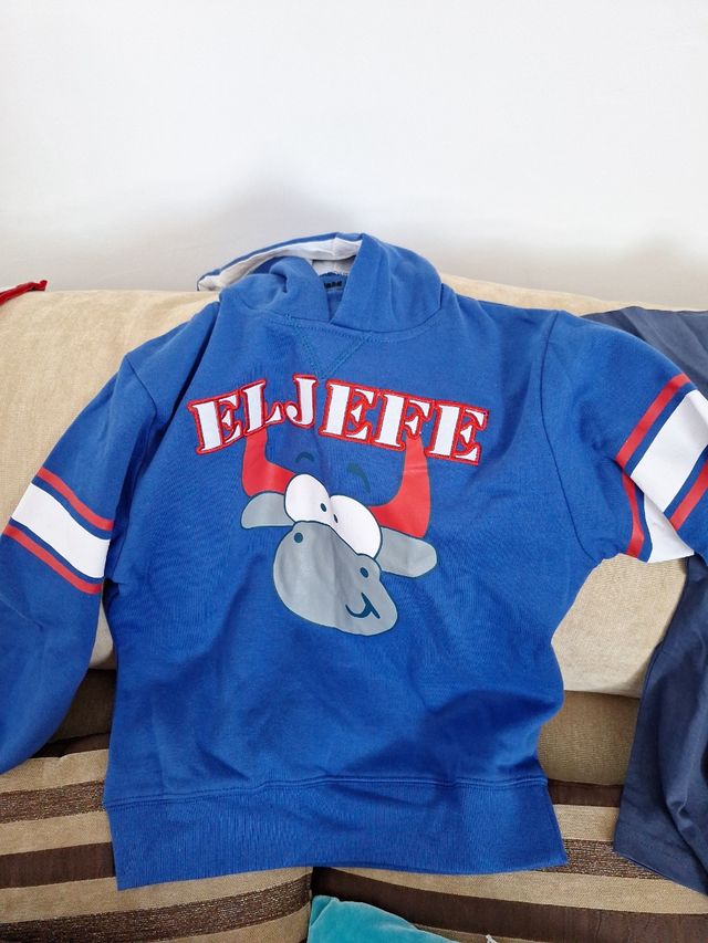 Lote 4 camisetas y 1 sudadera talla 10