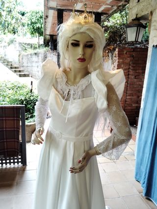 Disfraz de Reina Blanca 