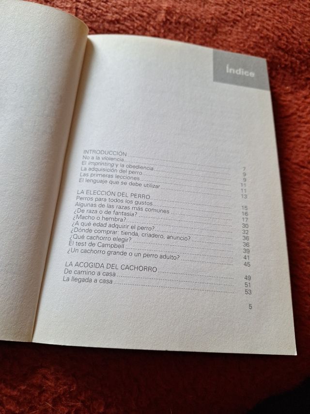 Adiestramiento del perro