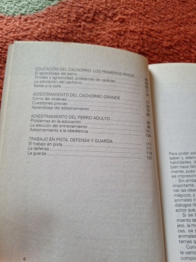 Adiestramiento del perro