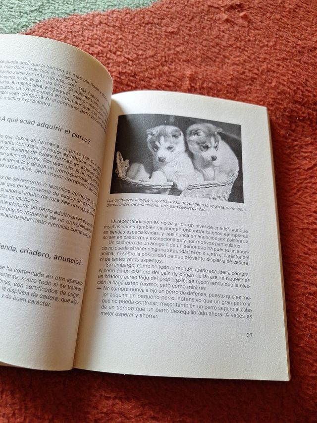 Adiestramiento del perro